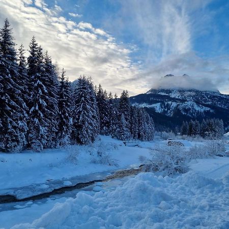 Apartament Hirsch Haus Santo Stefano Di Cadore Zewnętrze zdjęcie