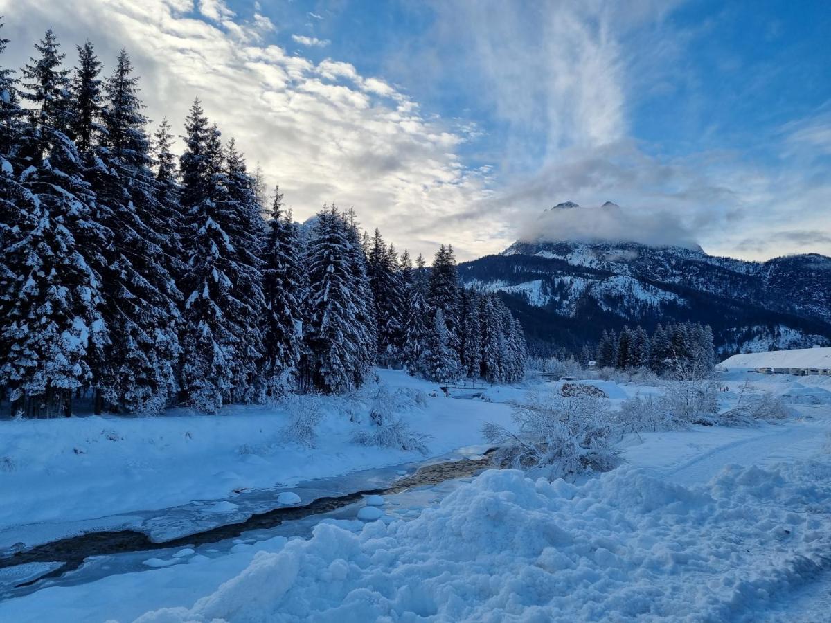 Apartament Hirsch Haus Santo Stefano Di Cadore Zewnętrze zdjęcie